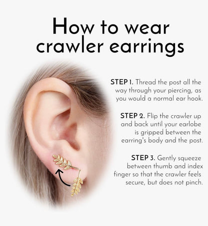 Teardrop Crawler Earrings